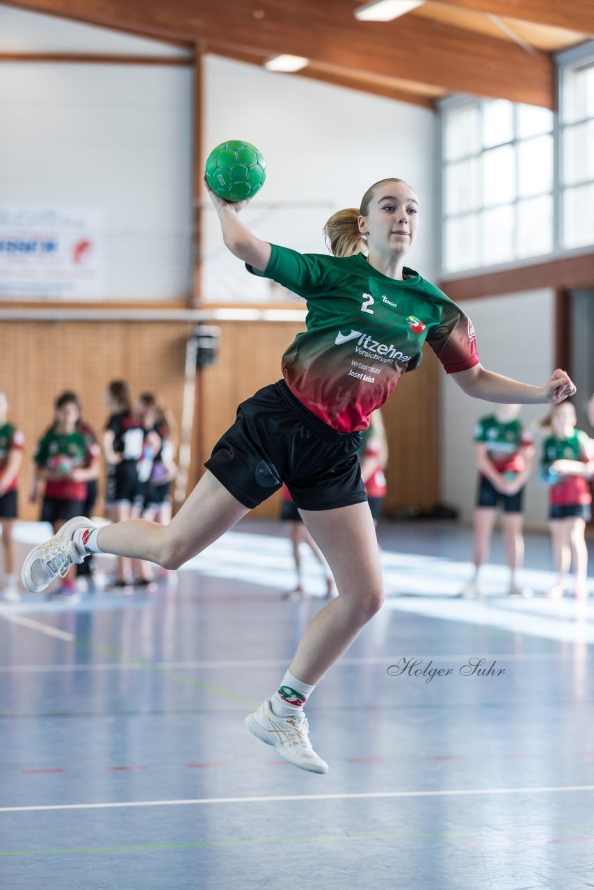 Bild 56 - wDJ HSG Kremperheide/Muensterdorf - TSV SR Schuelp : Ergebnis: 26:5